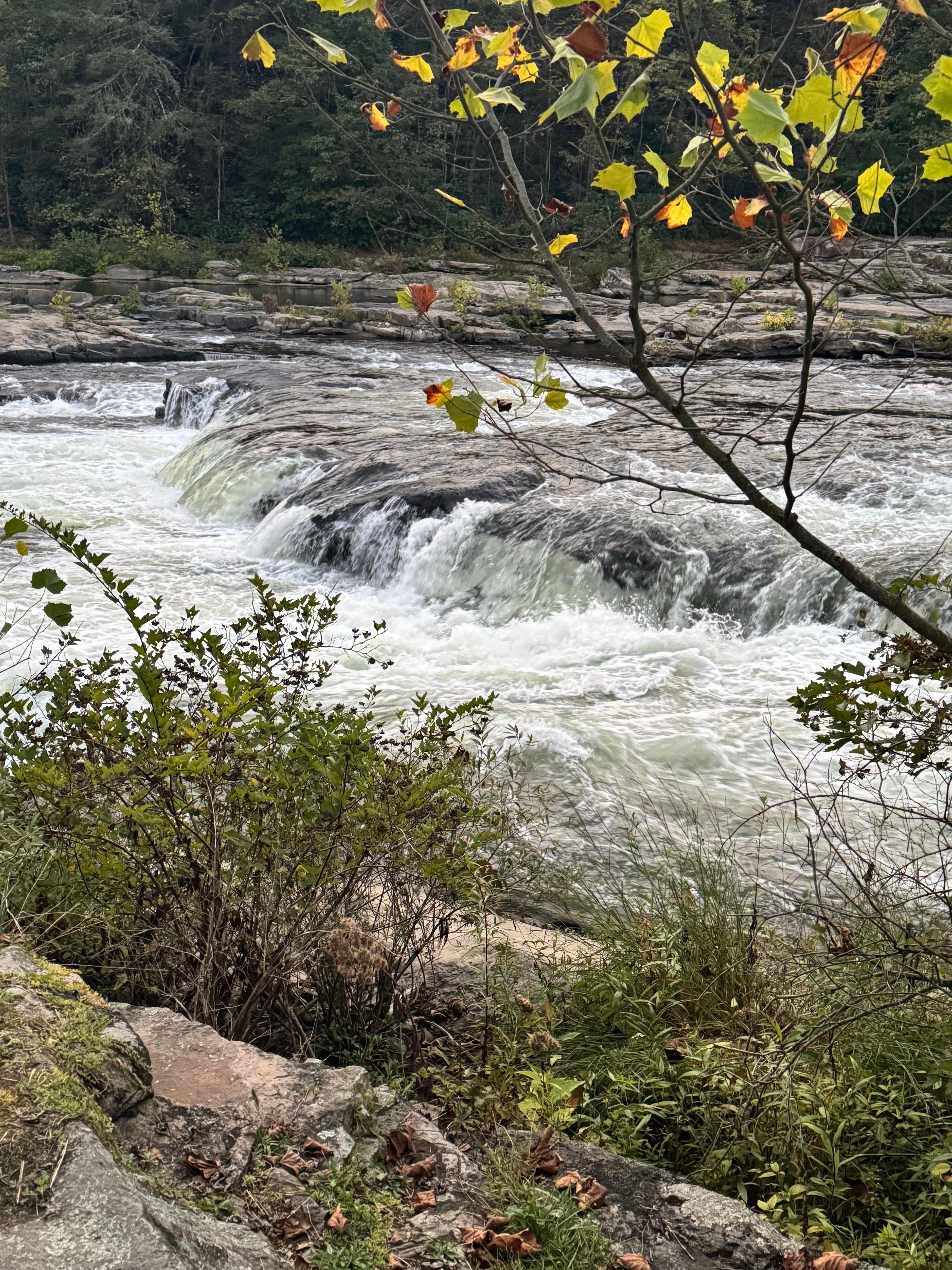 Three minute walk from the park! 