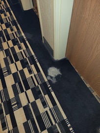 Stained carpet