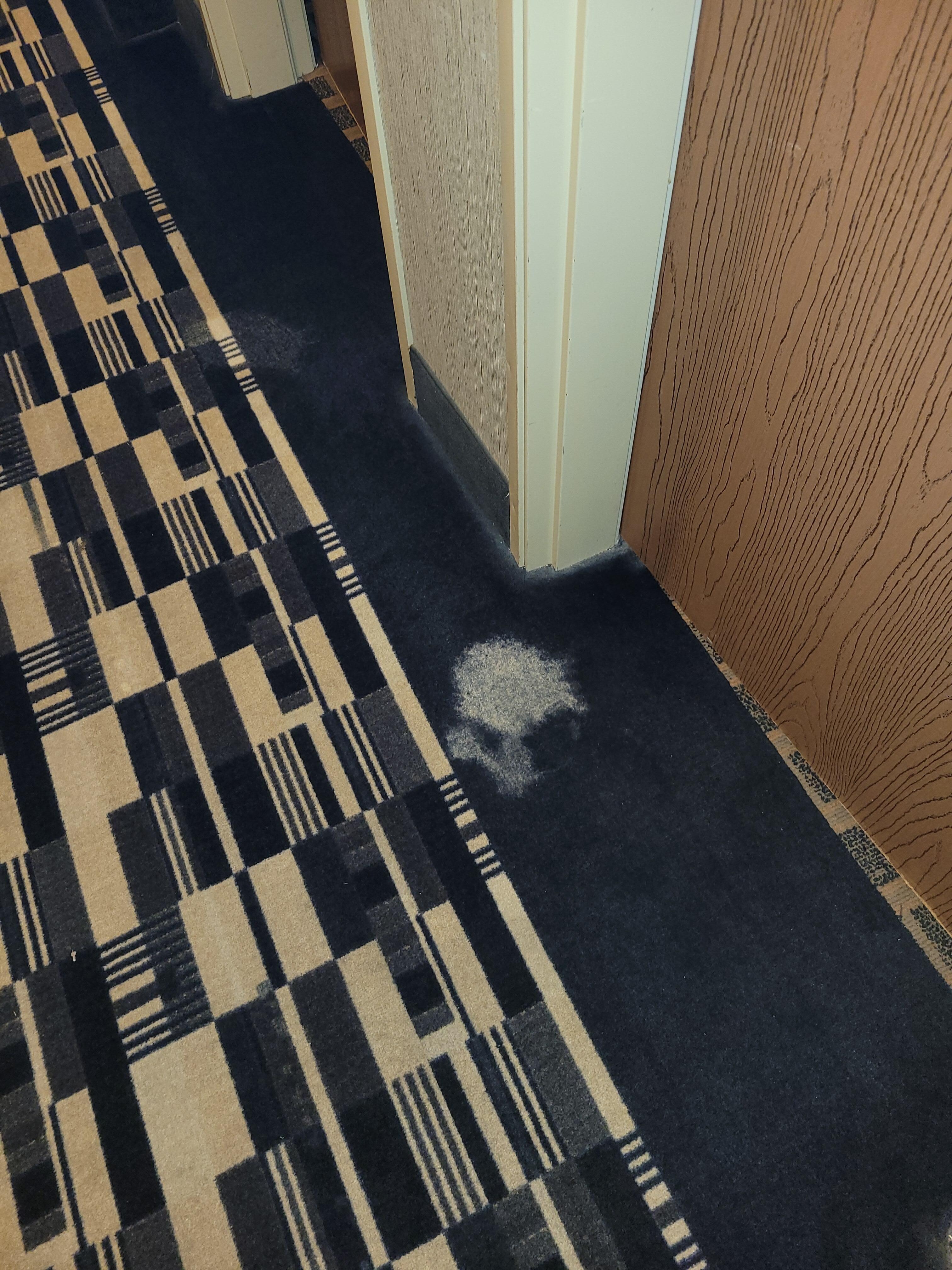 Stained carpet