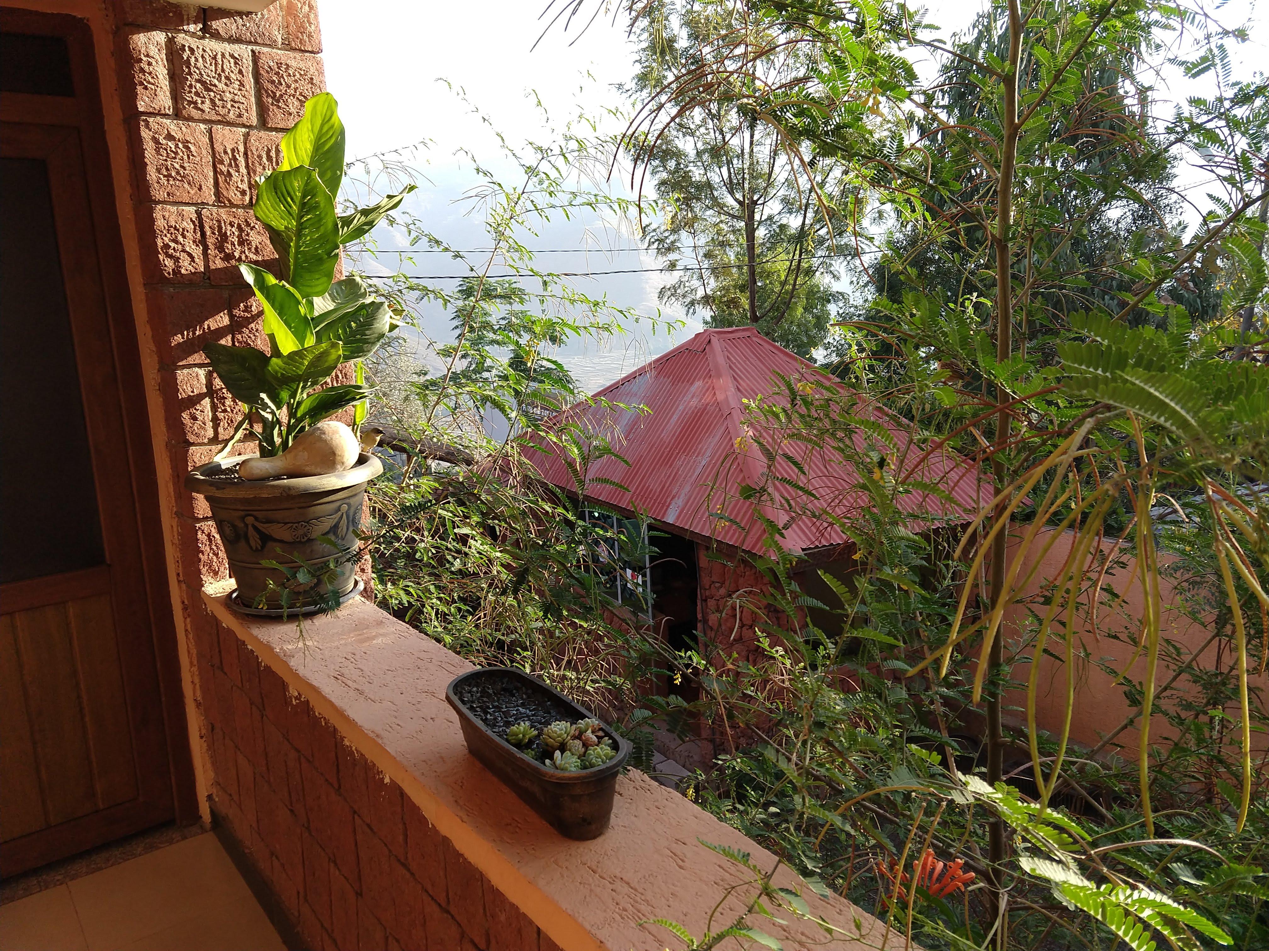 View from the second floor of the hotel.