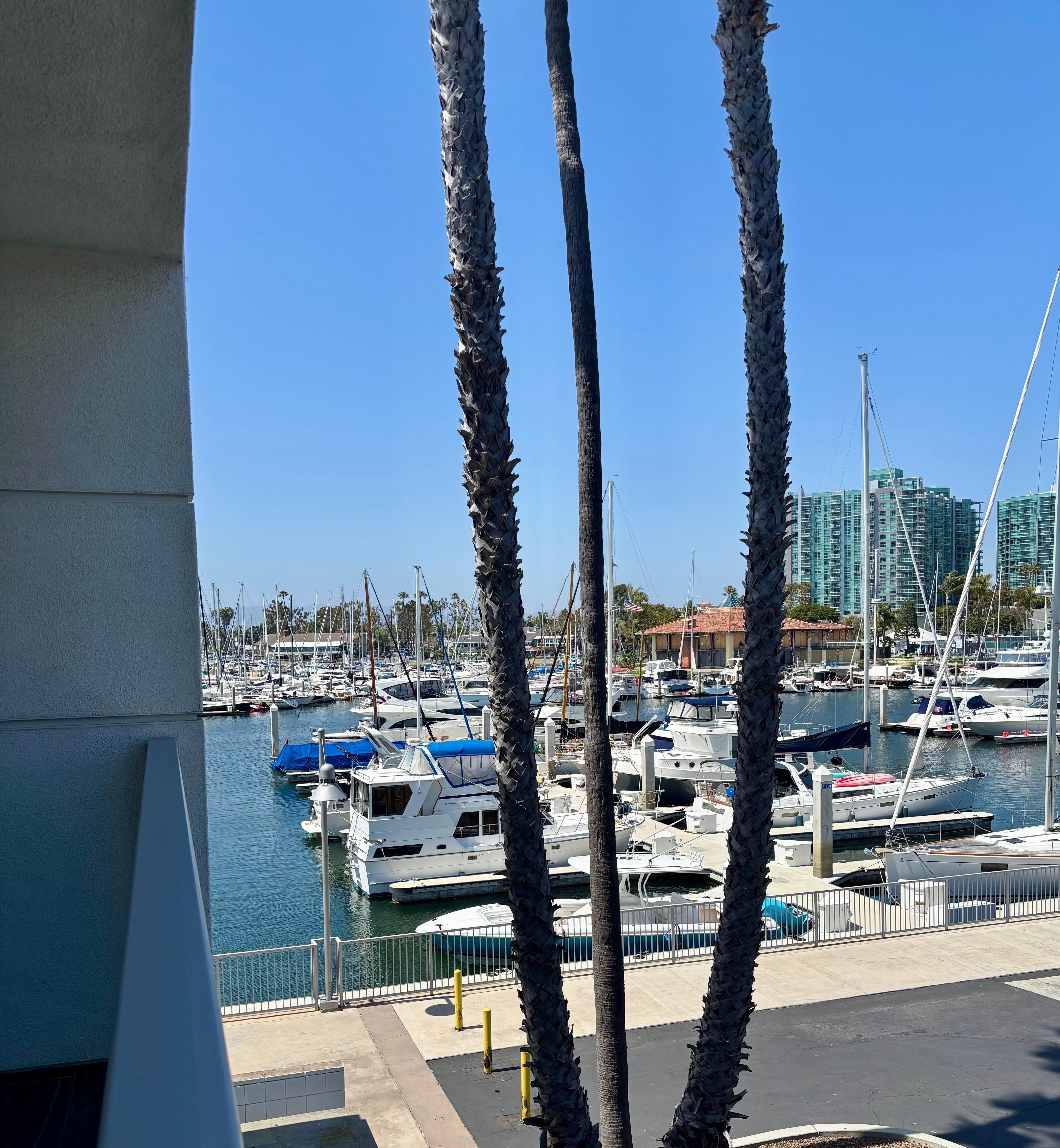 View from restaurant patio