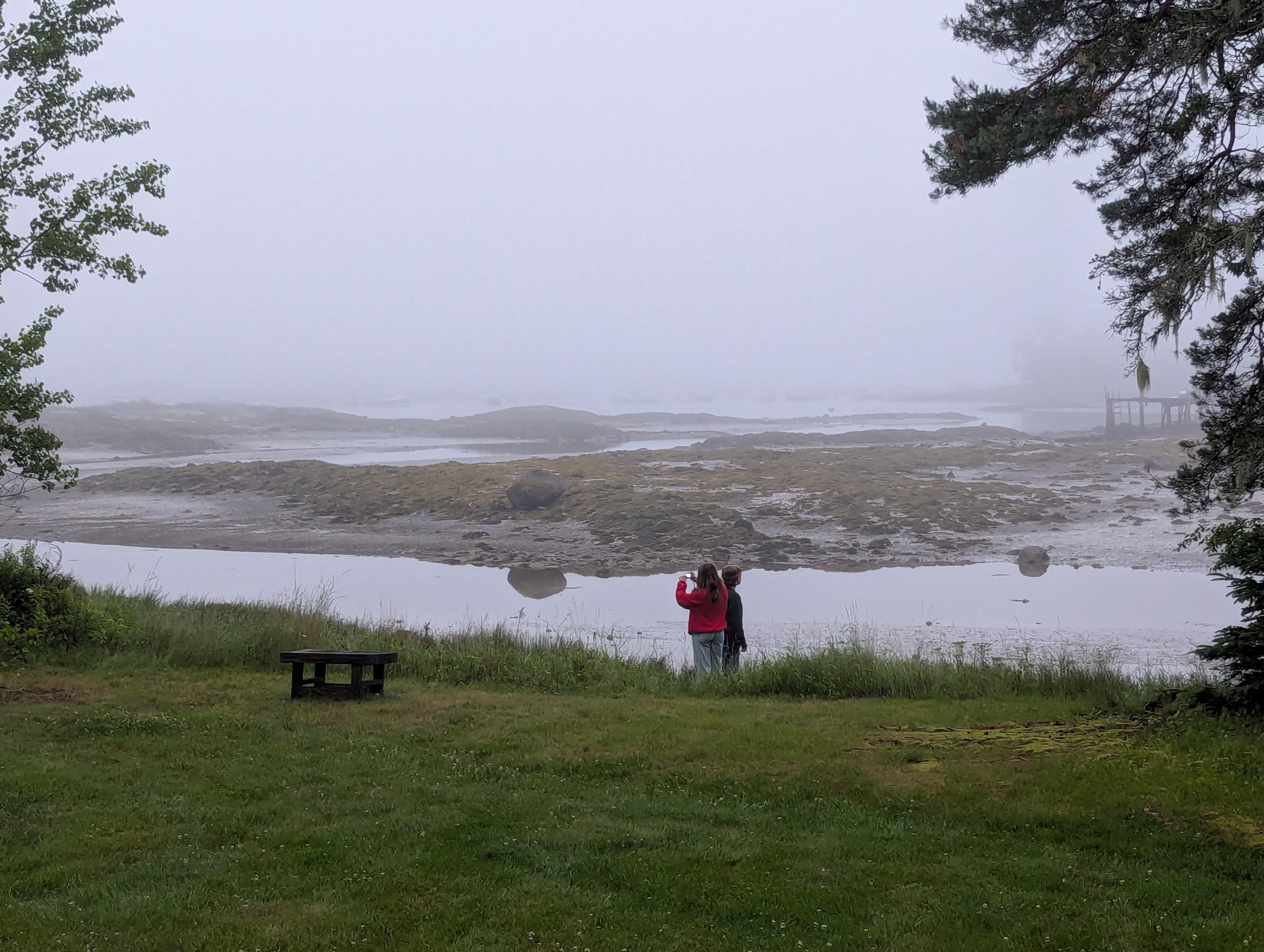 This is a picture off the deck on a foggy day.  On clear days you can see much further into Bass Harbor.