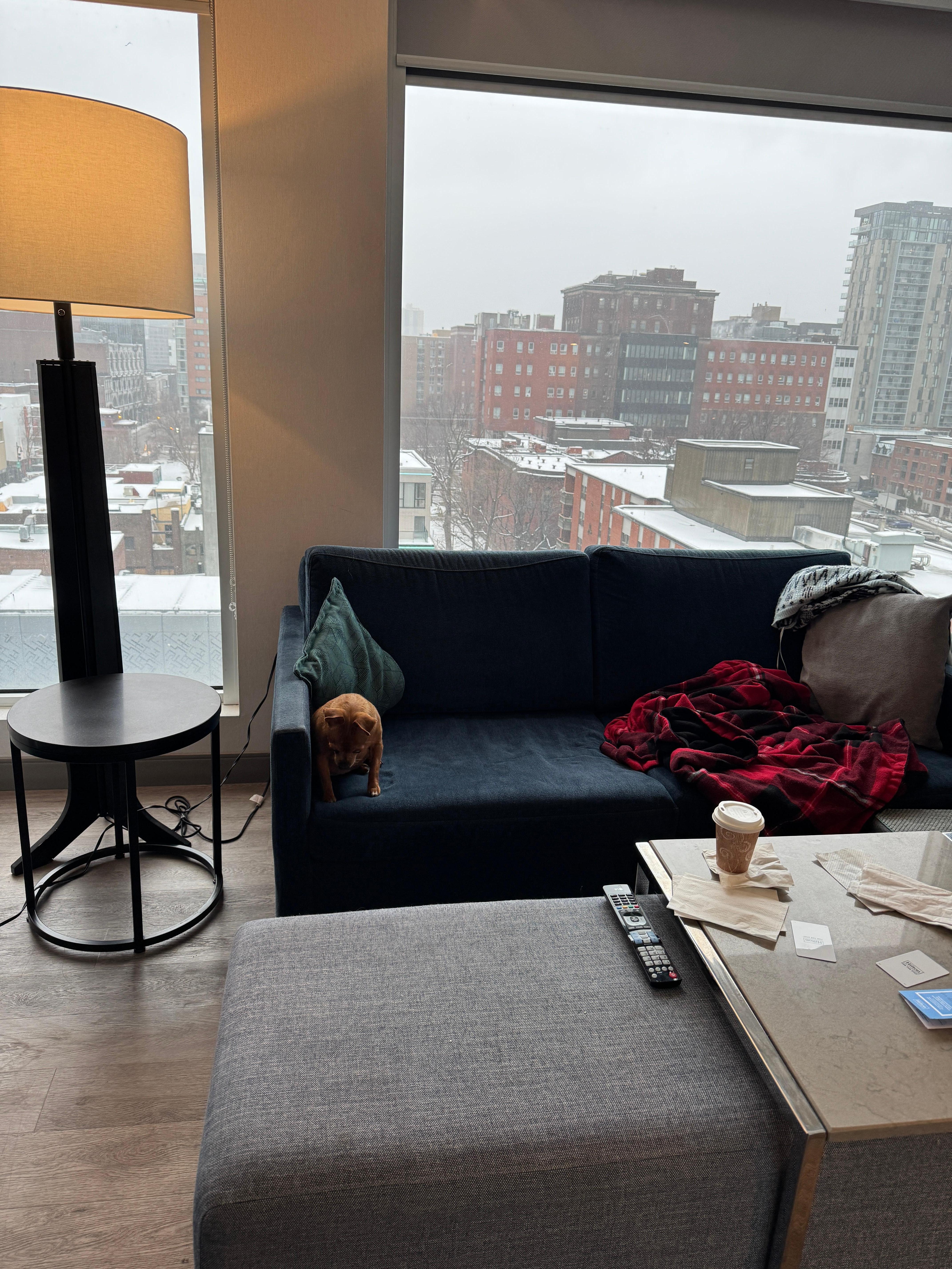 Vue de la pièce de séjour 