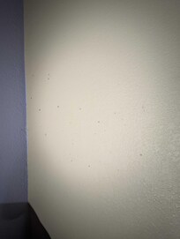 Mold on the wall
