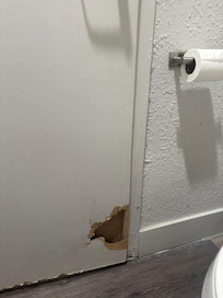 Bathroom door