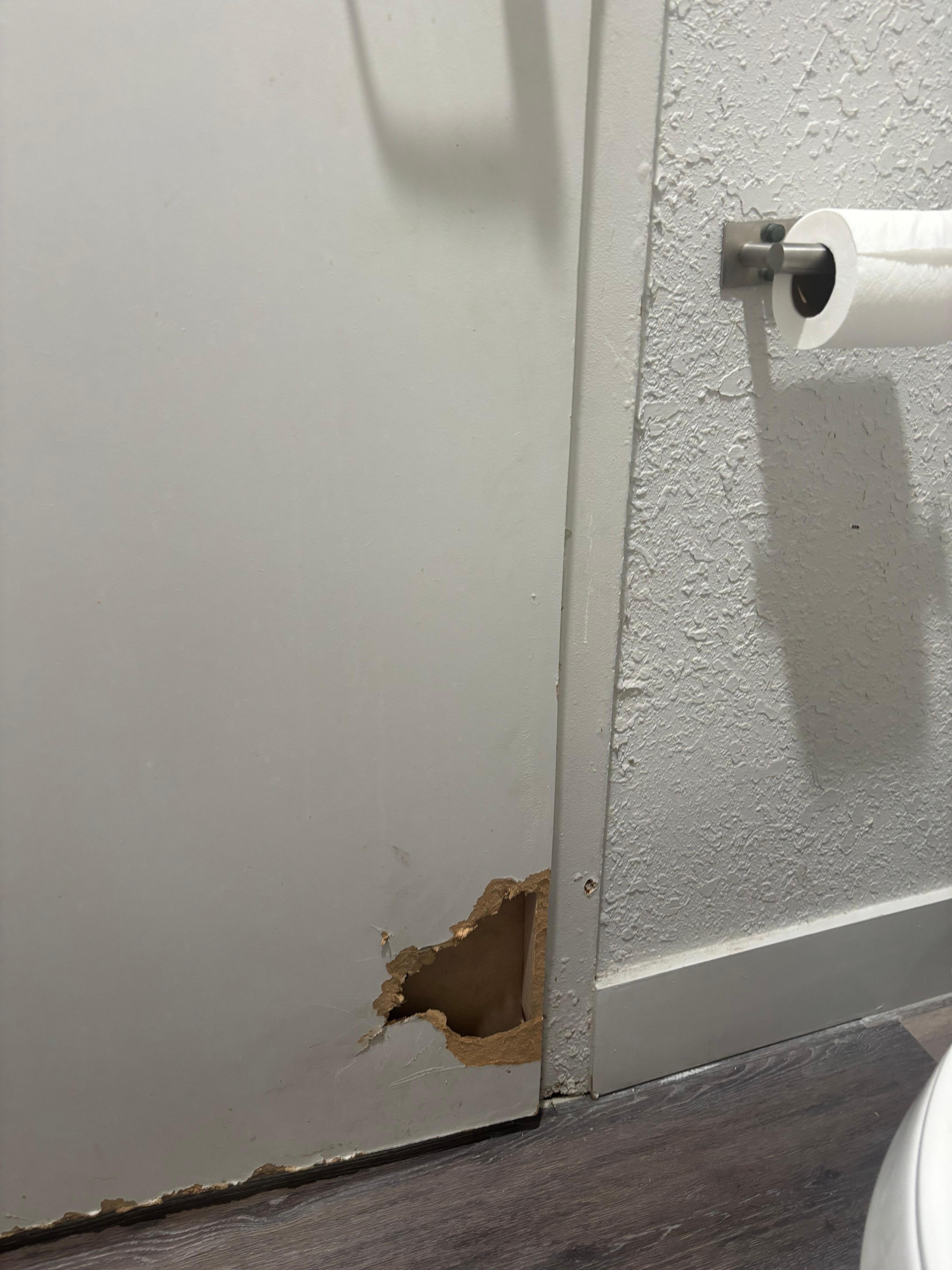 Bathroom door