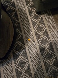 Cheese balls from previous guest