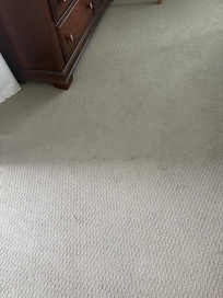 All of the carpets were stained, this is just the only picture I had gotten.