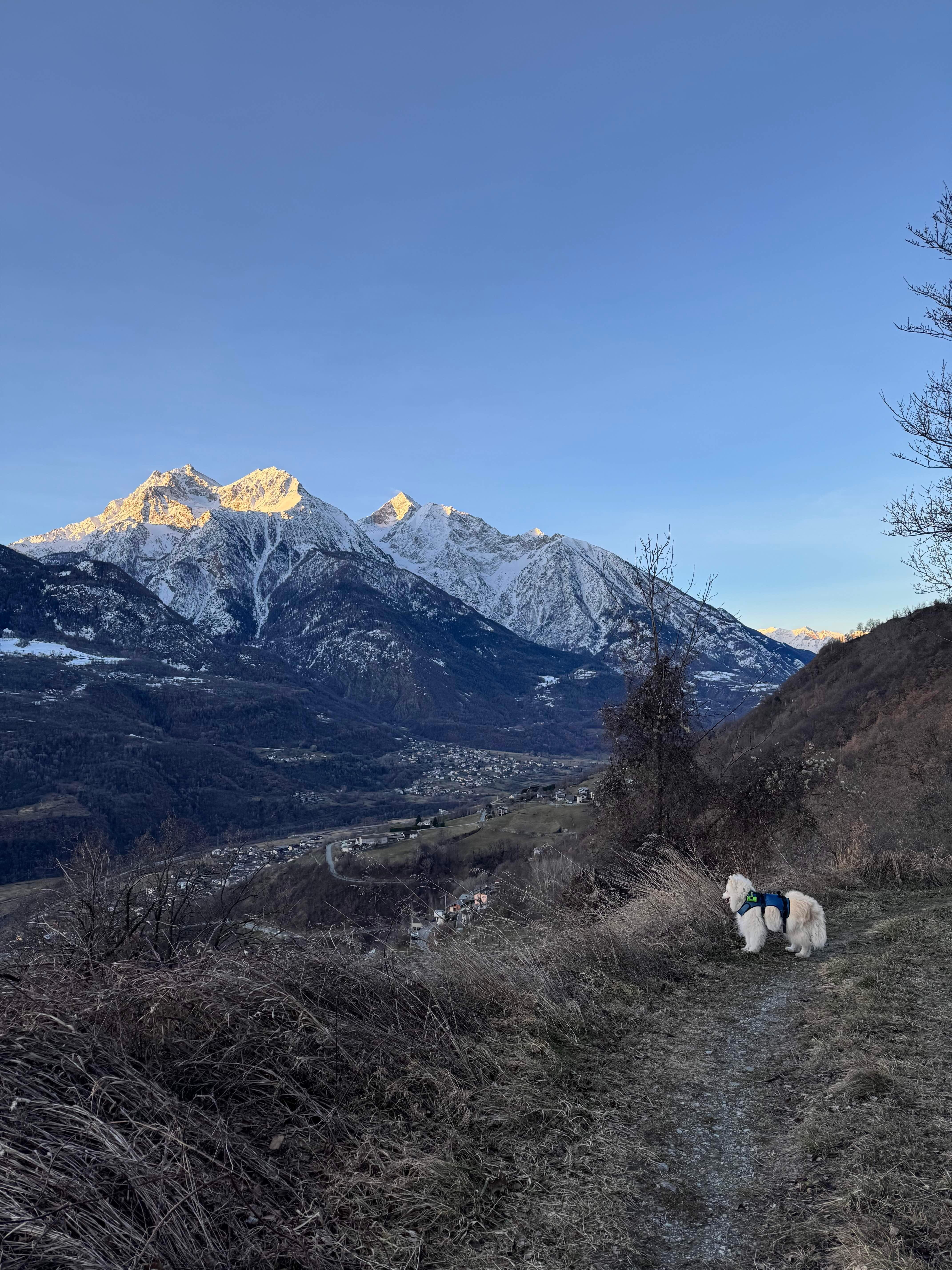 Panorama with Grum on walk. Even he was stunned :)