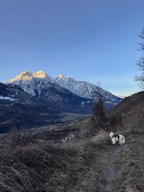 Panorama with Grum on walk. Even he was stunned :)