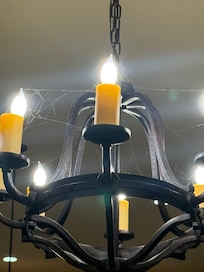 Chandelier over the dinner table