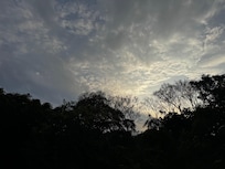 Sunset from apartment