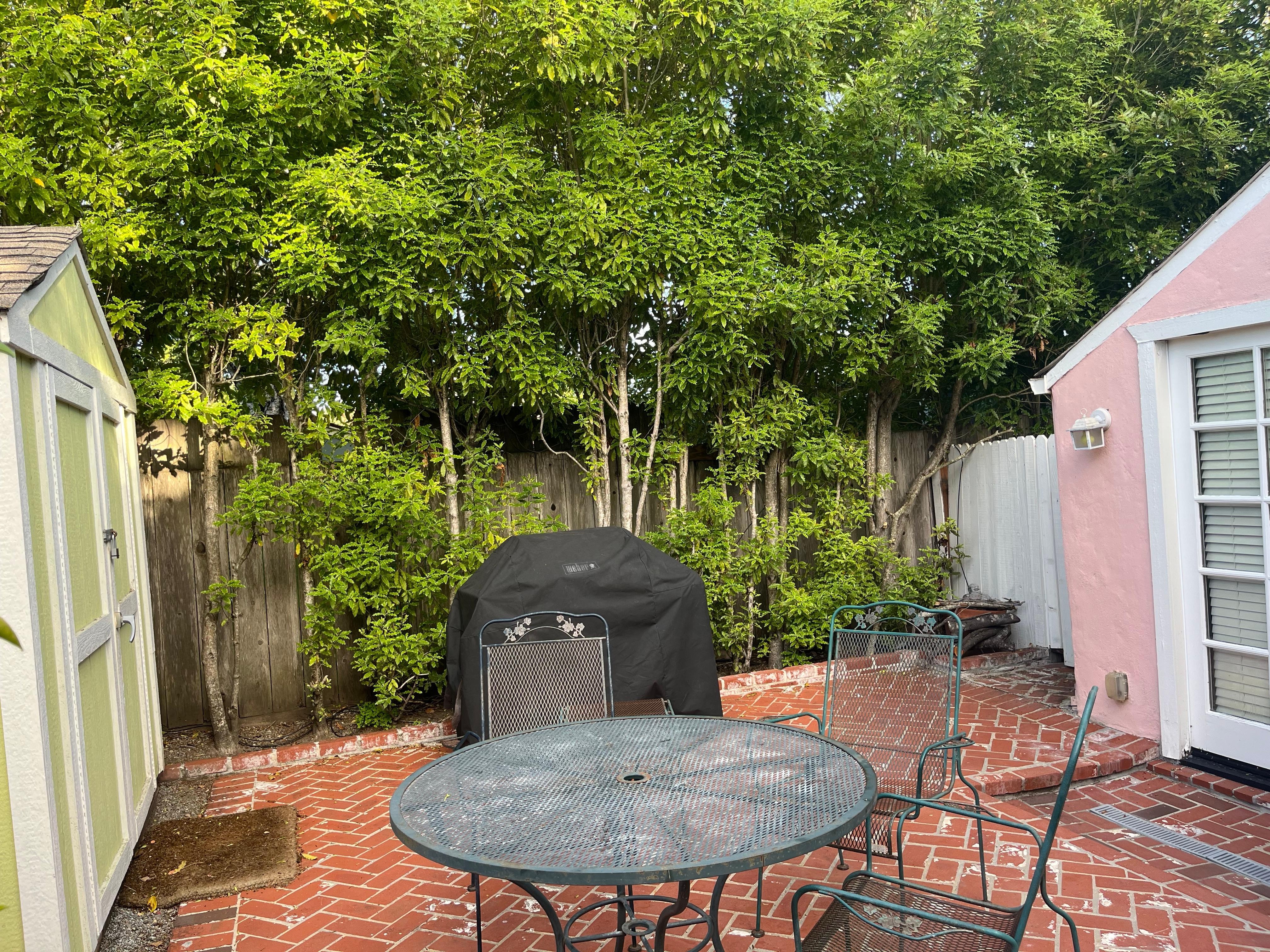 back patio