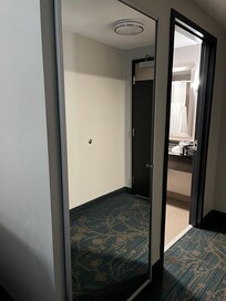 Full length mirror which is the closet door.