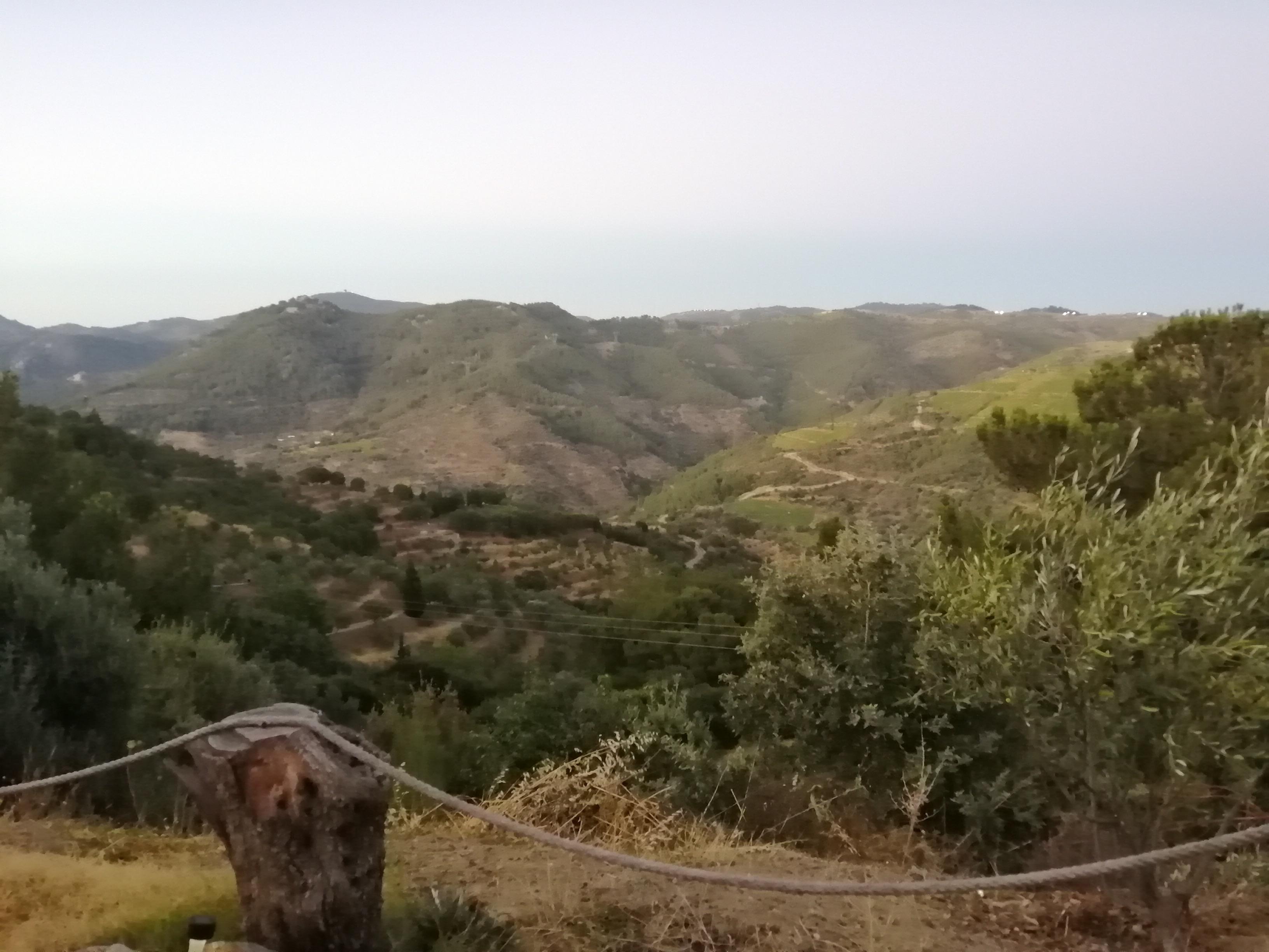 View from the restaurant balcony.