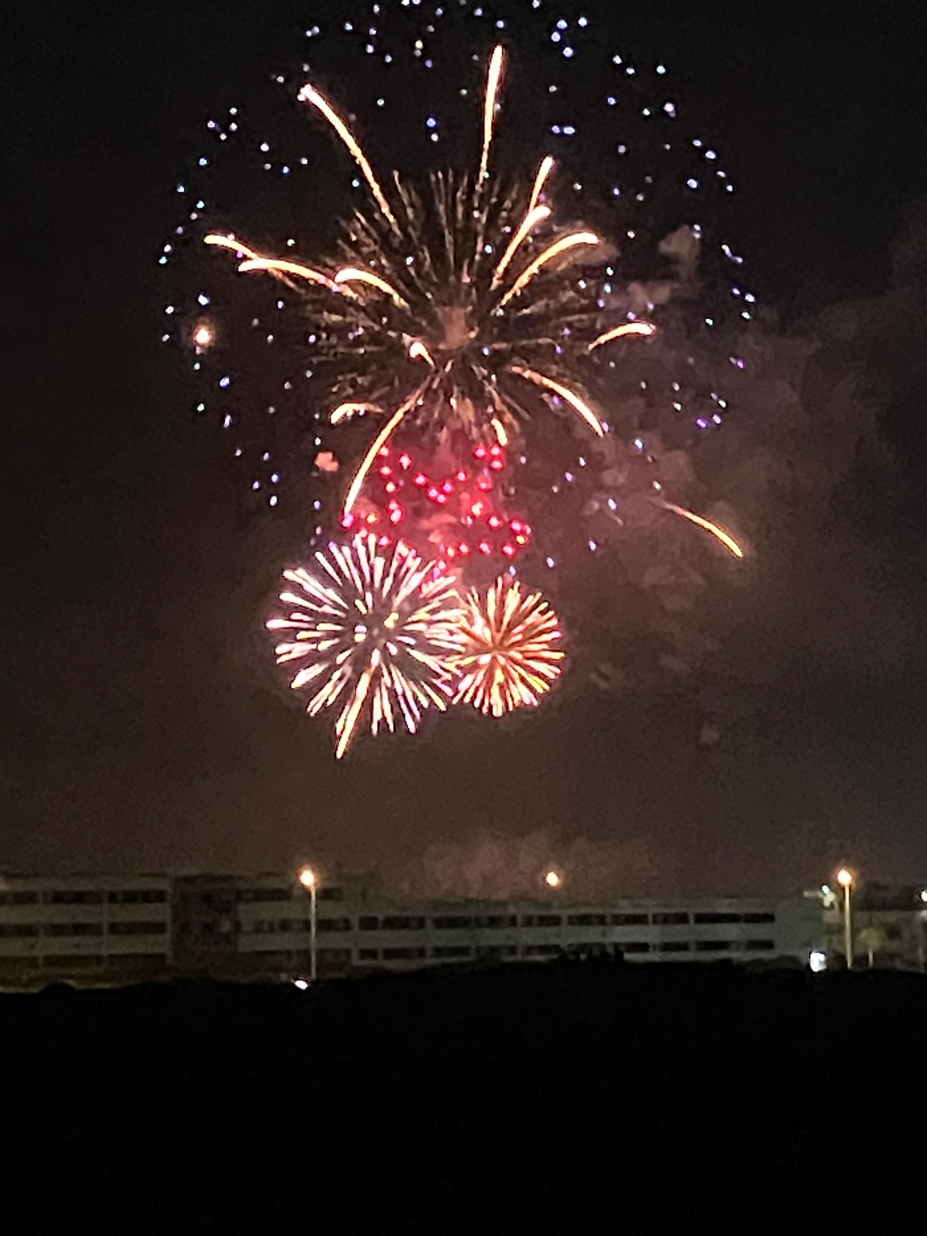 vu de l'appartement au 31 janvier