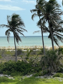 View from the house.