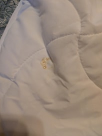 dirty mattress cover