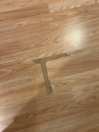 More floor damage in living room. Disgusting filthy mat not pictired