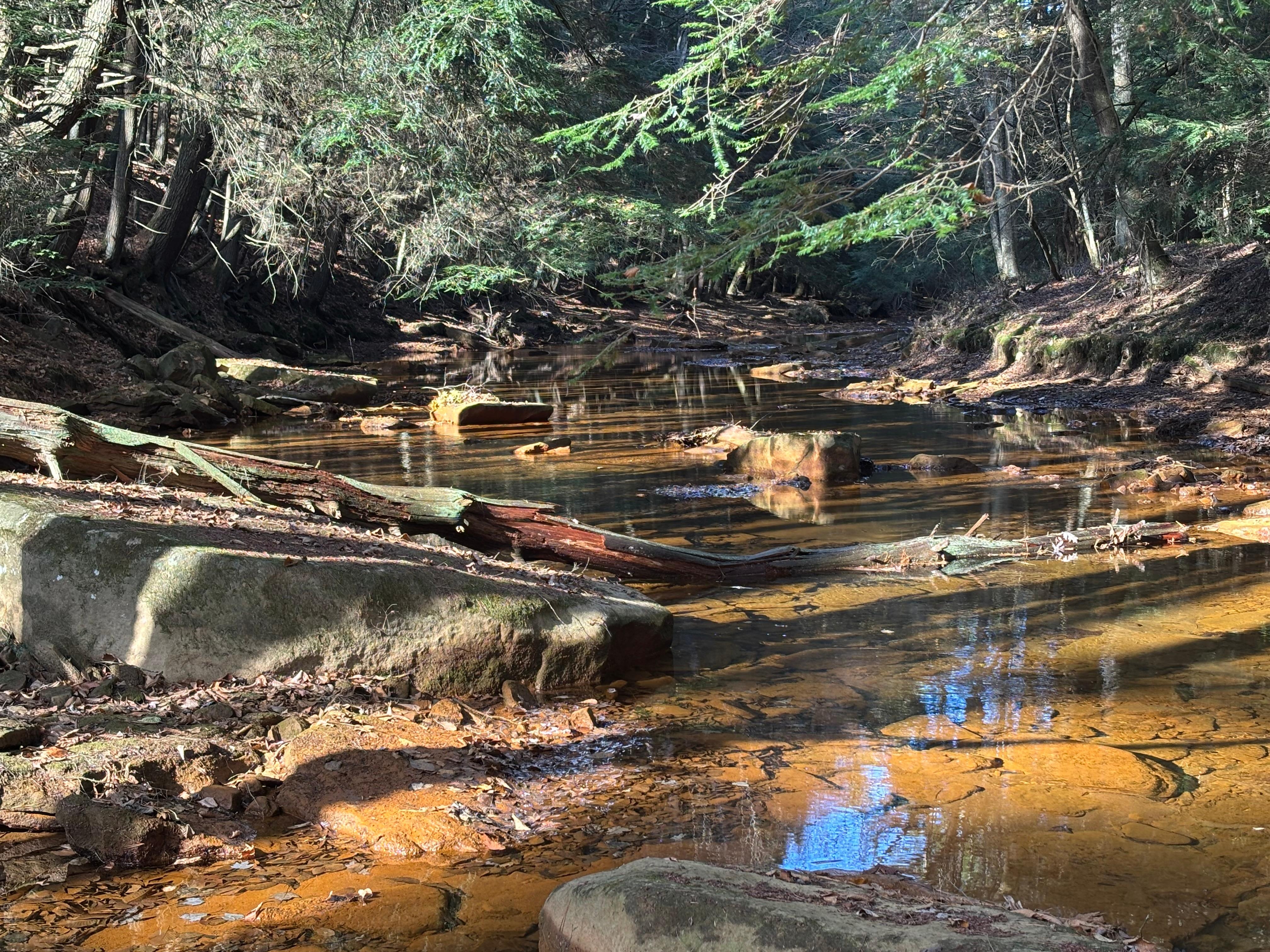 Stream in the bottom of valley along the hiking trail. 