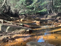 Stream in the bottom of valley along the hiking trail.