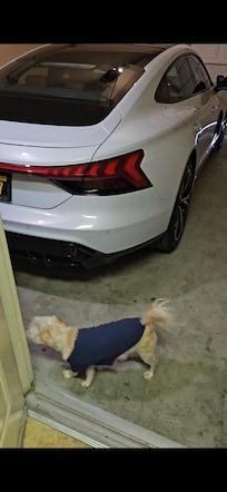2 Car Garage