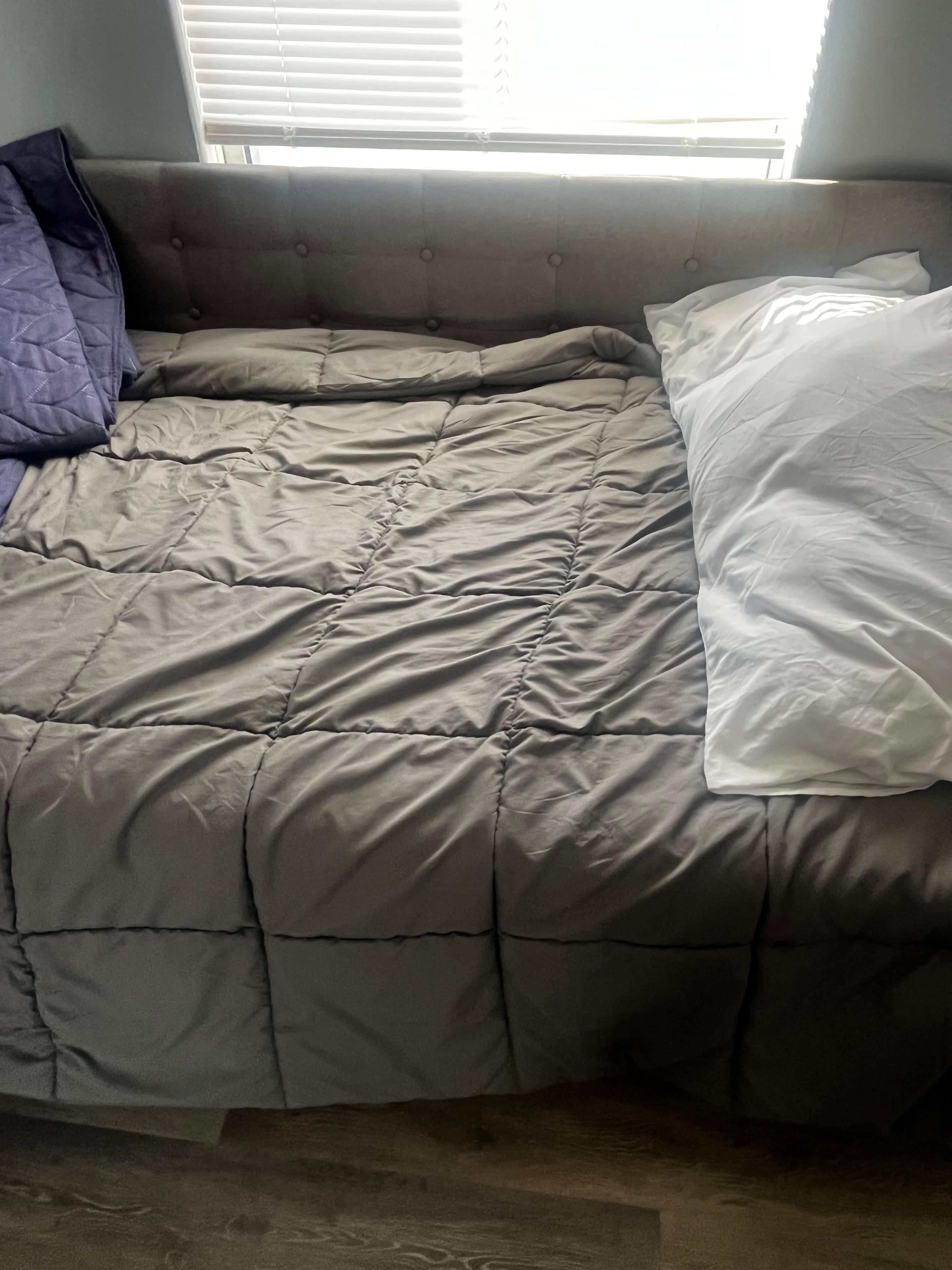 Bed including the bugs 