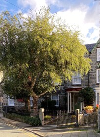 Ivy House, Dolgellau