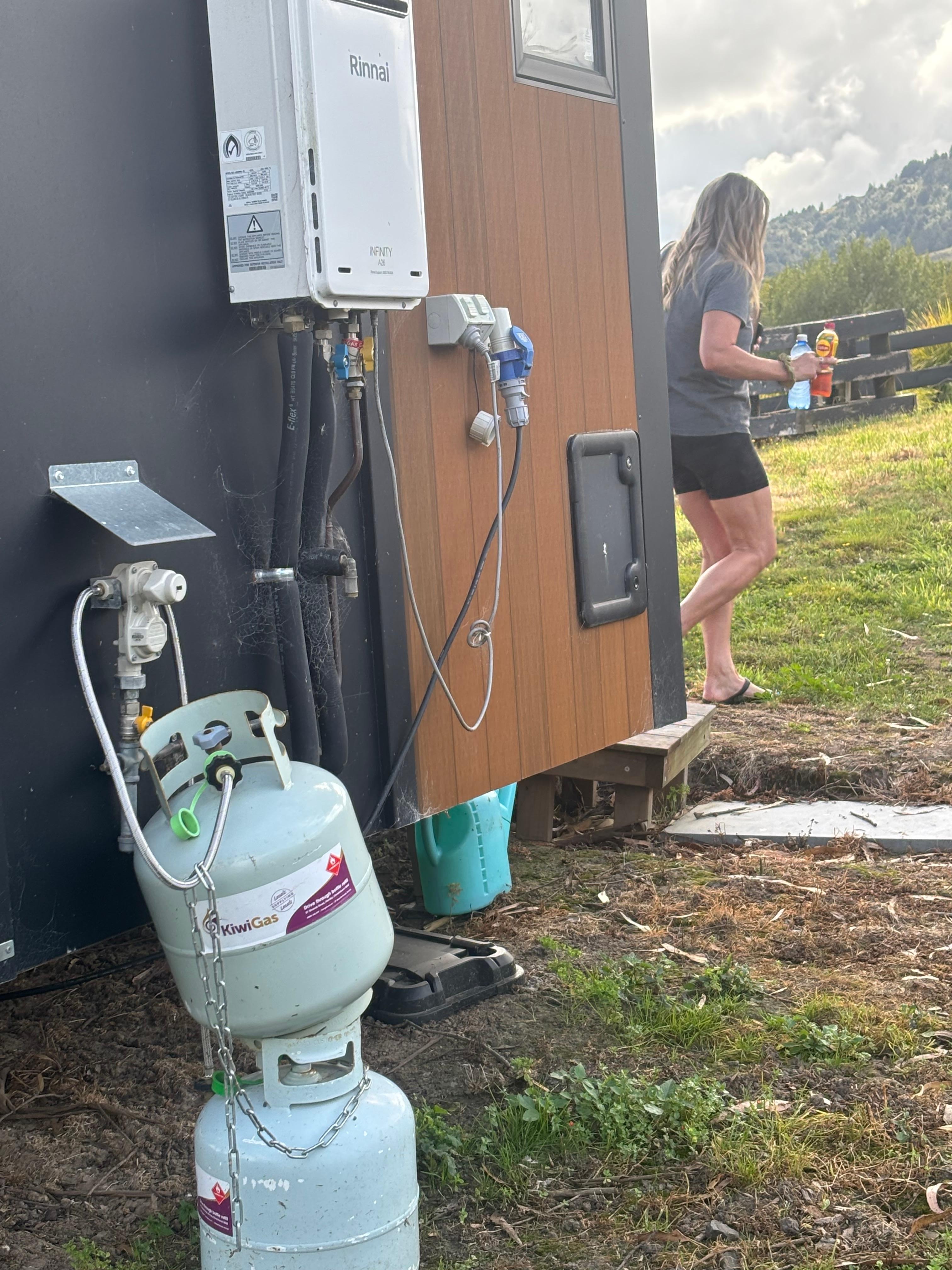 Yard, disarray of outside, was nice when established 2 years ago, but not kept up. 