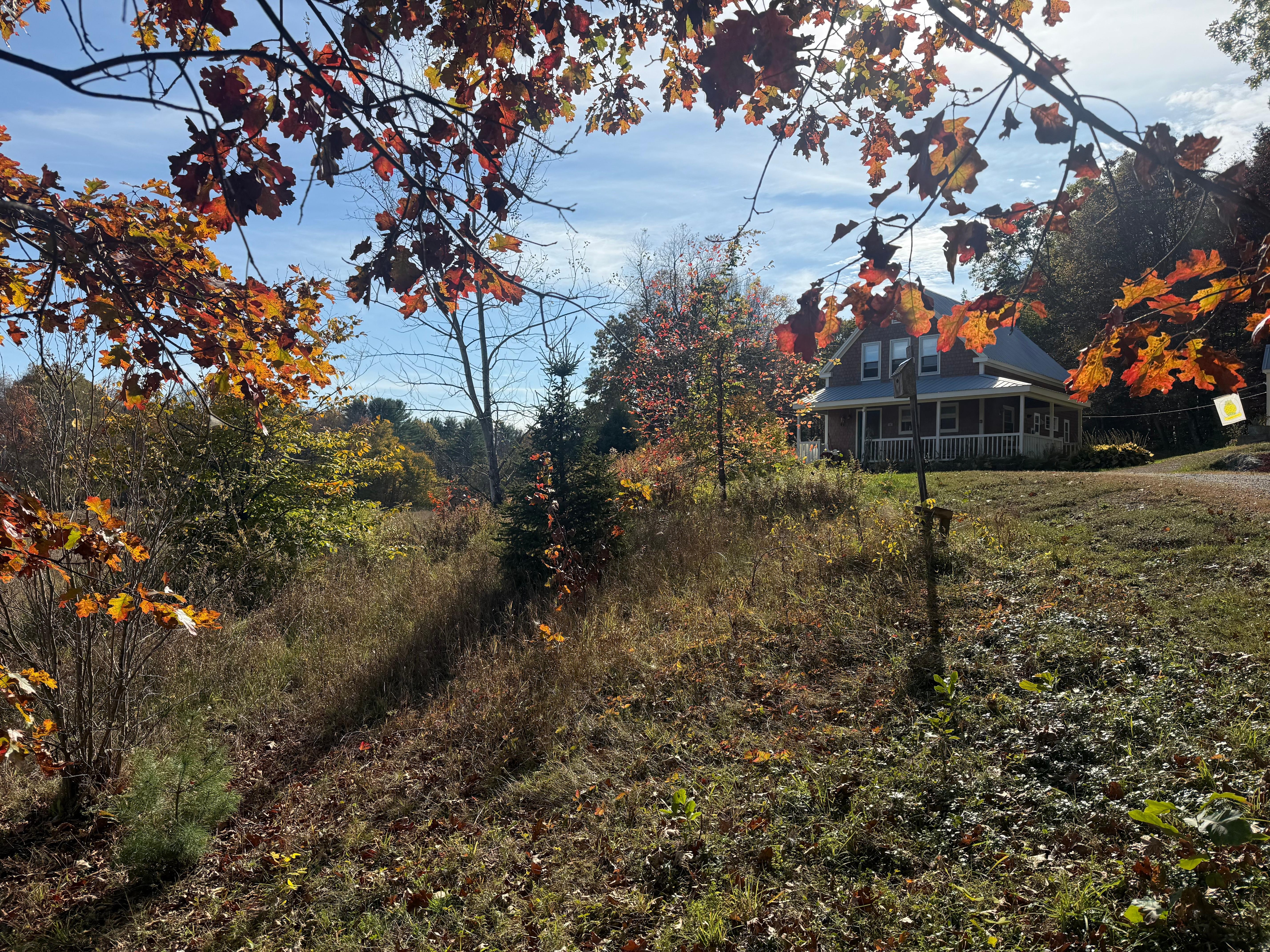 We felt peace and quiet unlike anywhere we’ve ever stayed 