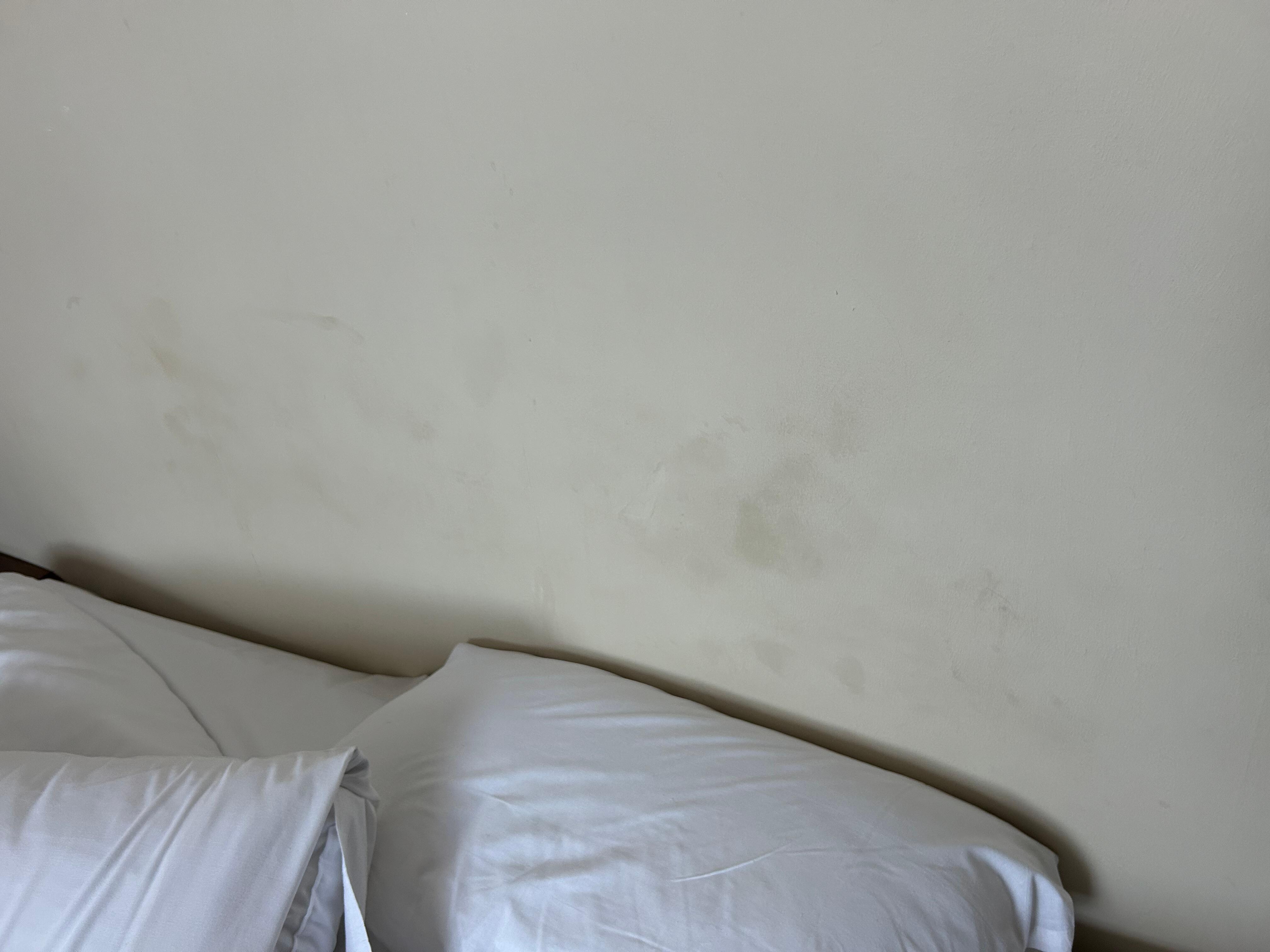 No headboard dirty head marks
