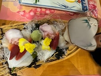 Sashimi boat