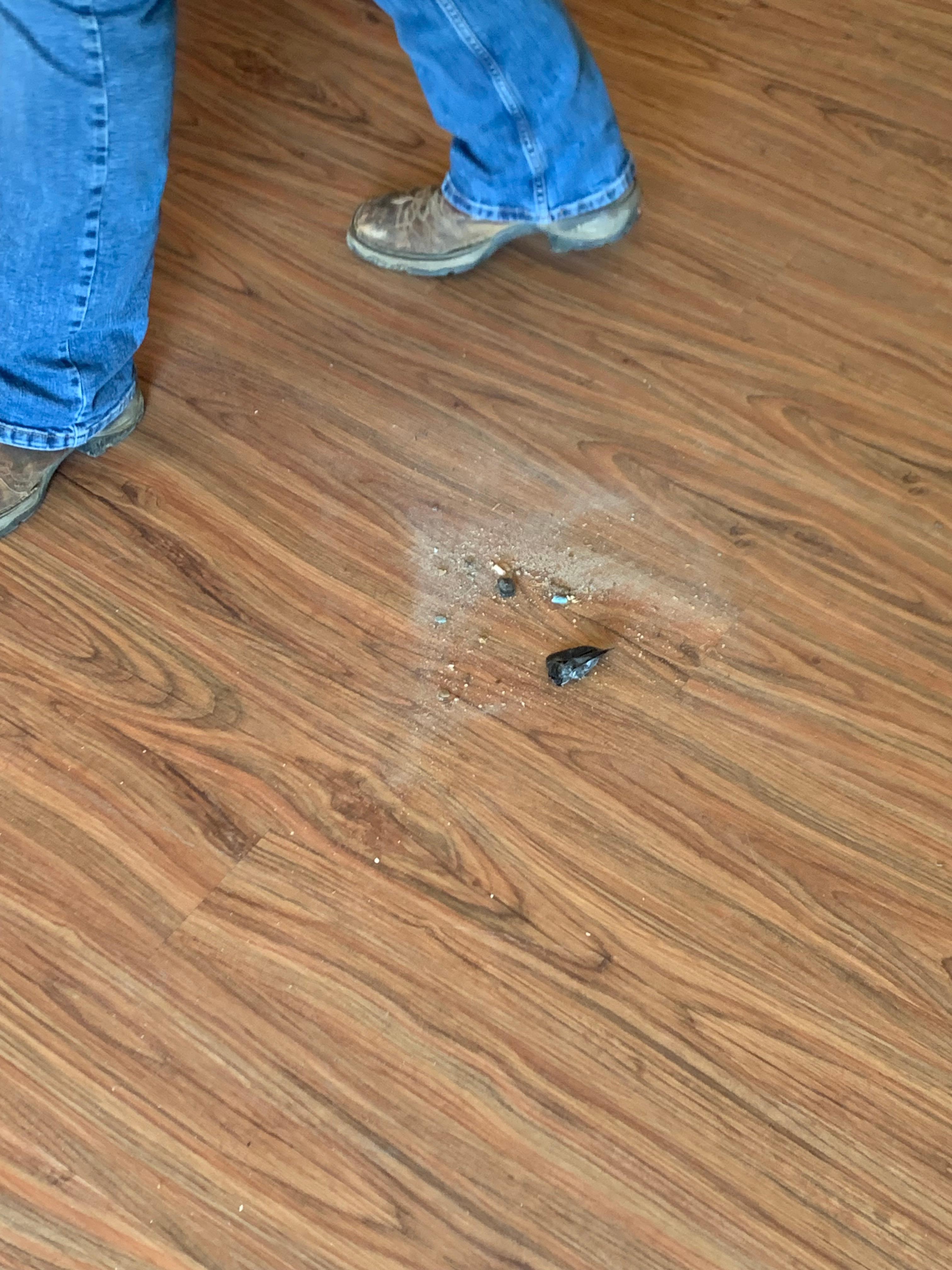 What we swept up in the room. 