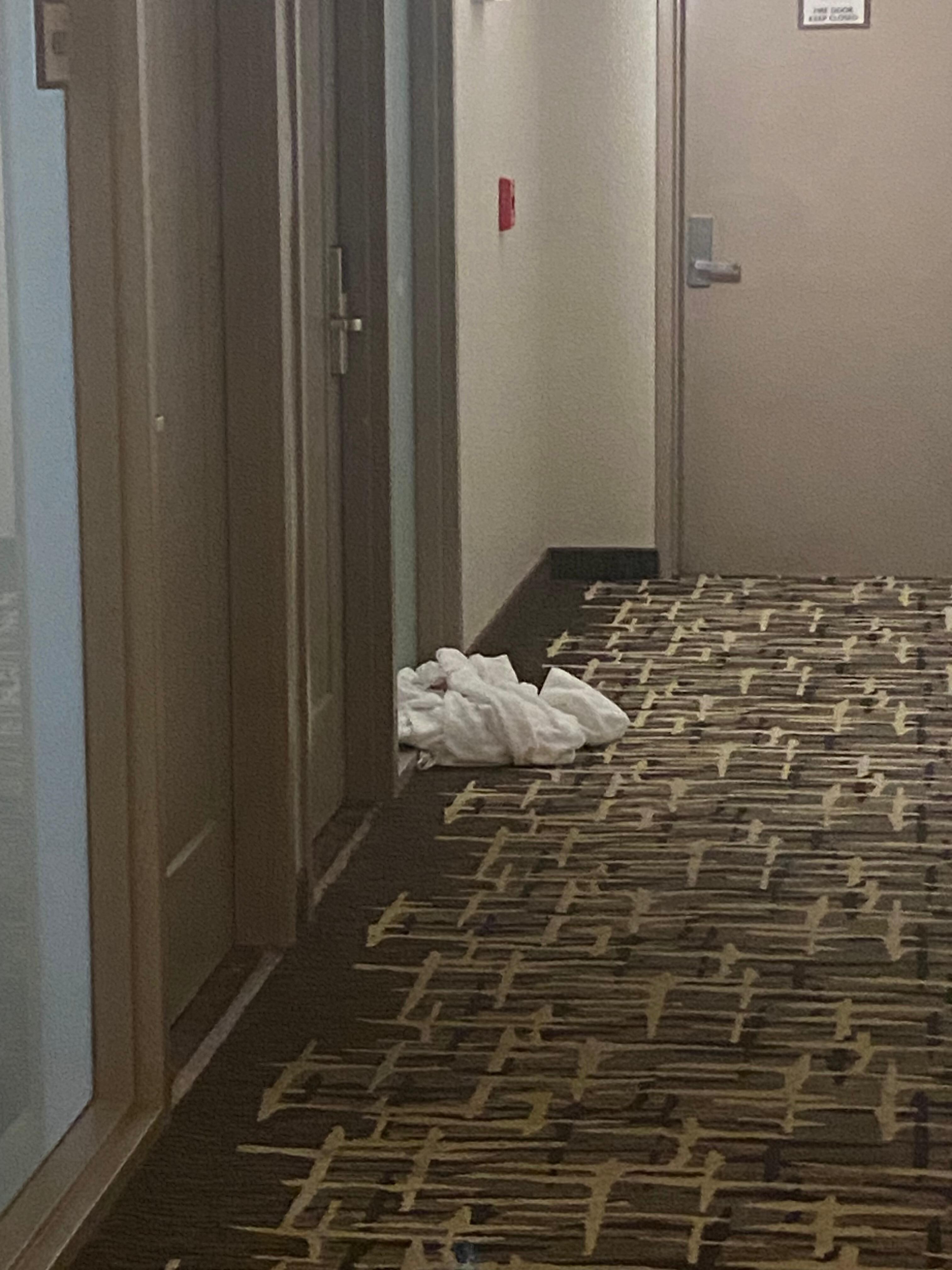 Outside my room #438 at 9 p.m. June 5, 2025.  Still there on morning of June 6, 2025