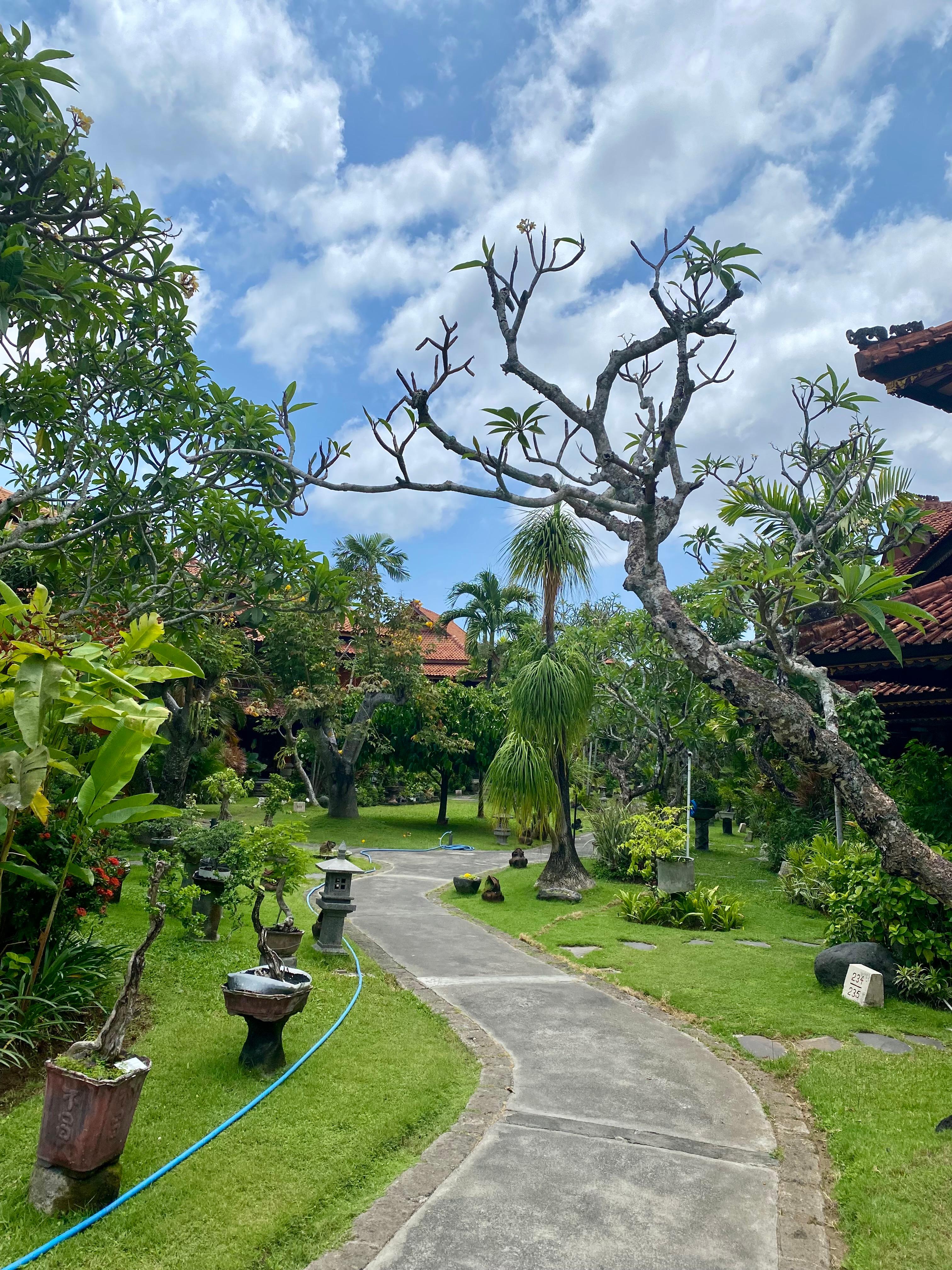 Jardin bien entretenu 