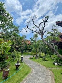 Jardin bien entretenu