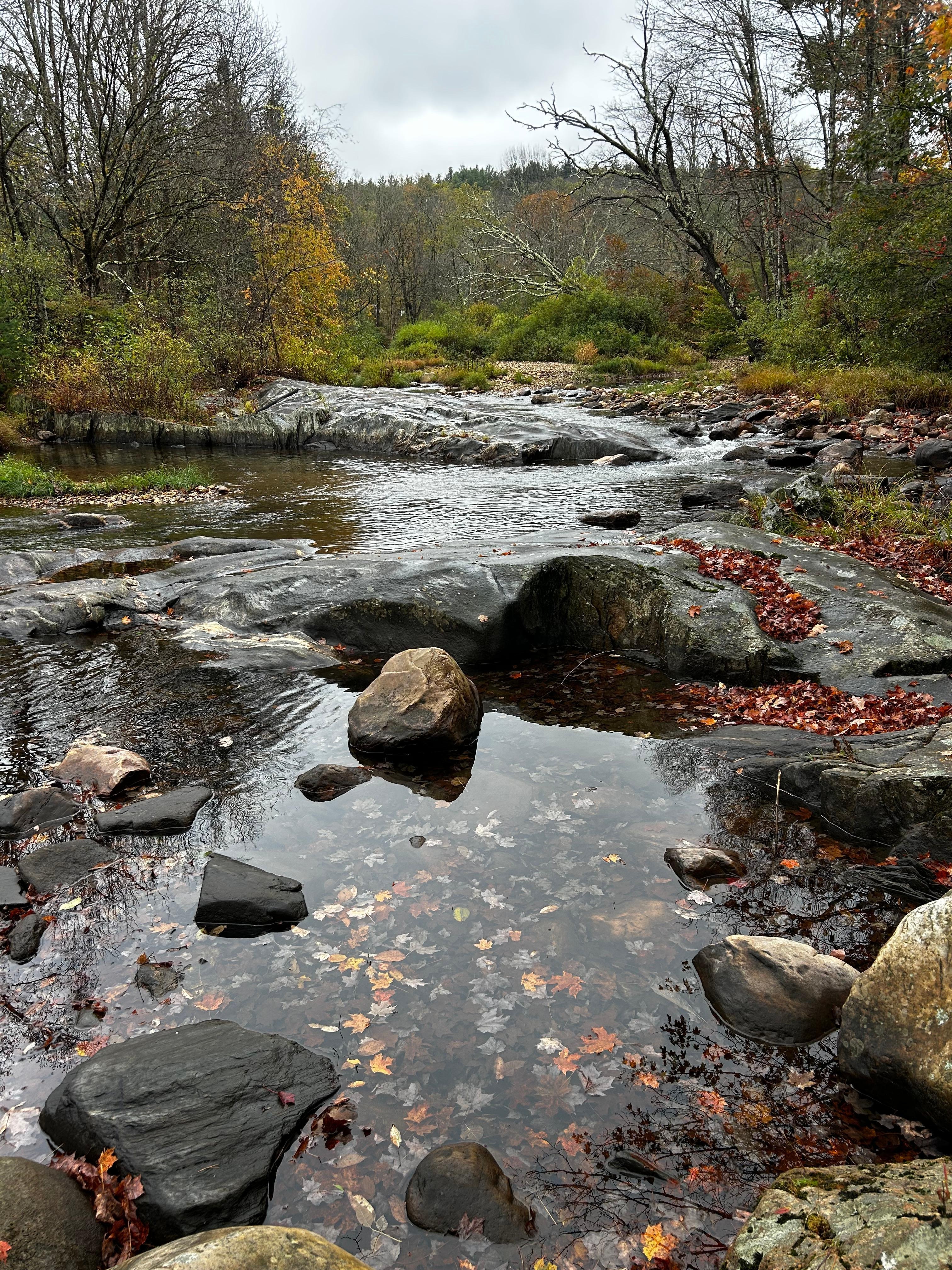 Lovely brook/river behind the cabin