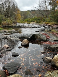 Lovely brook/river behind the cabin