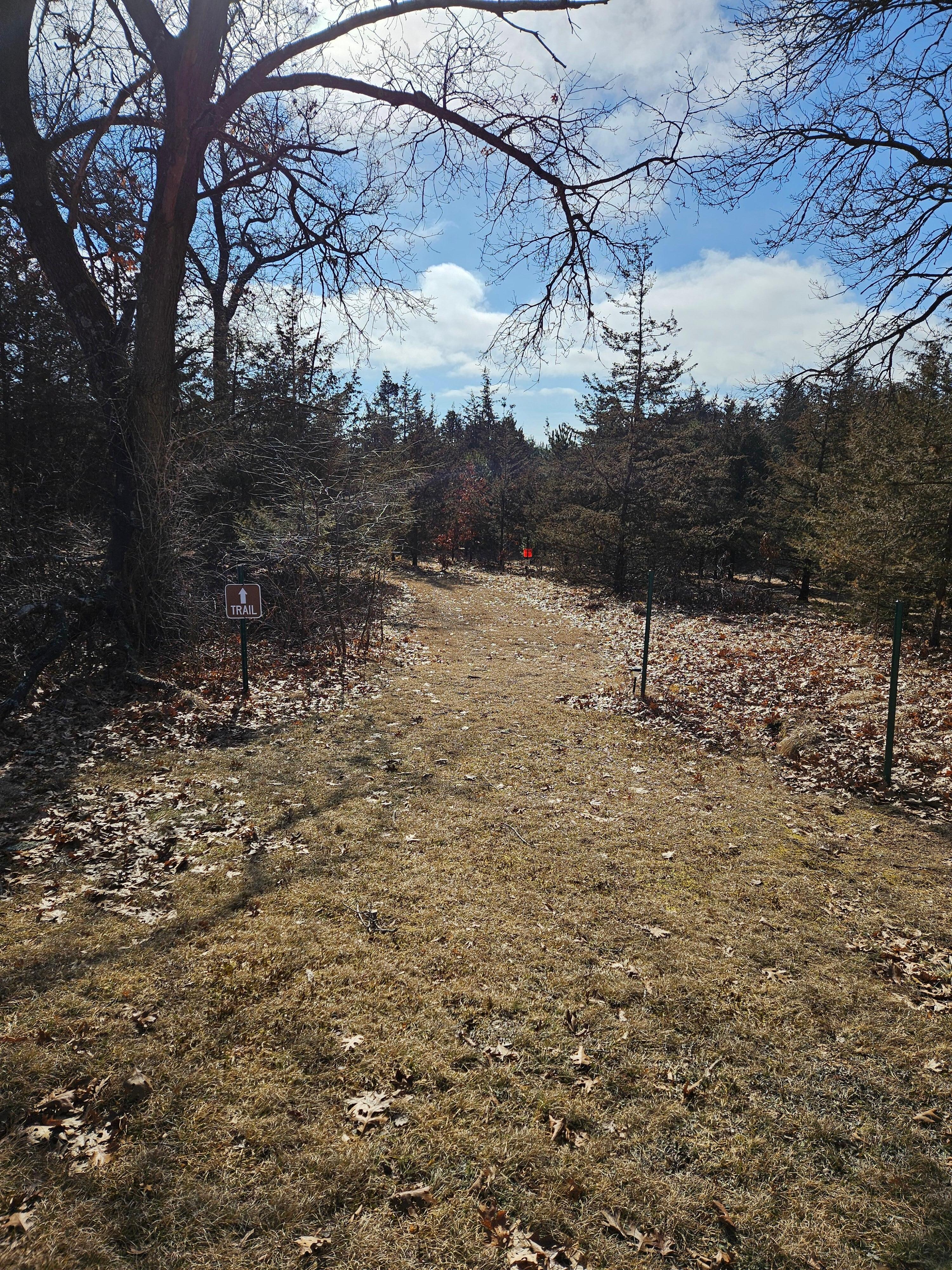 Trail to the back of the property.