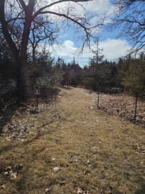 Trail to the back of the property.