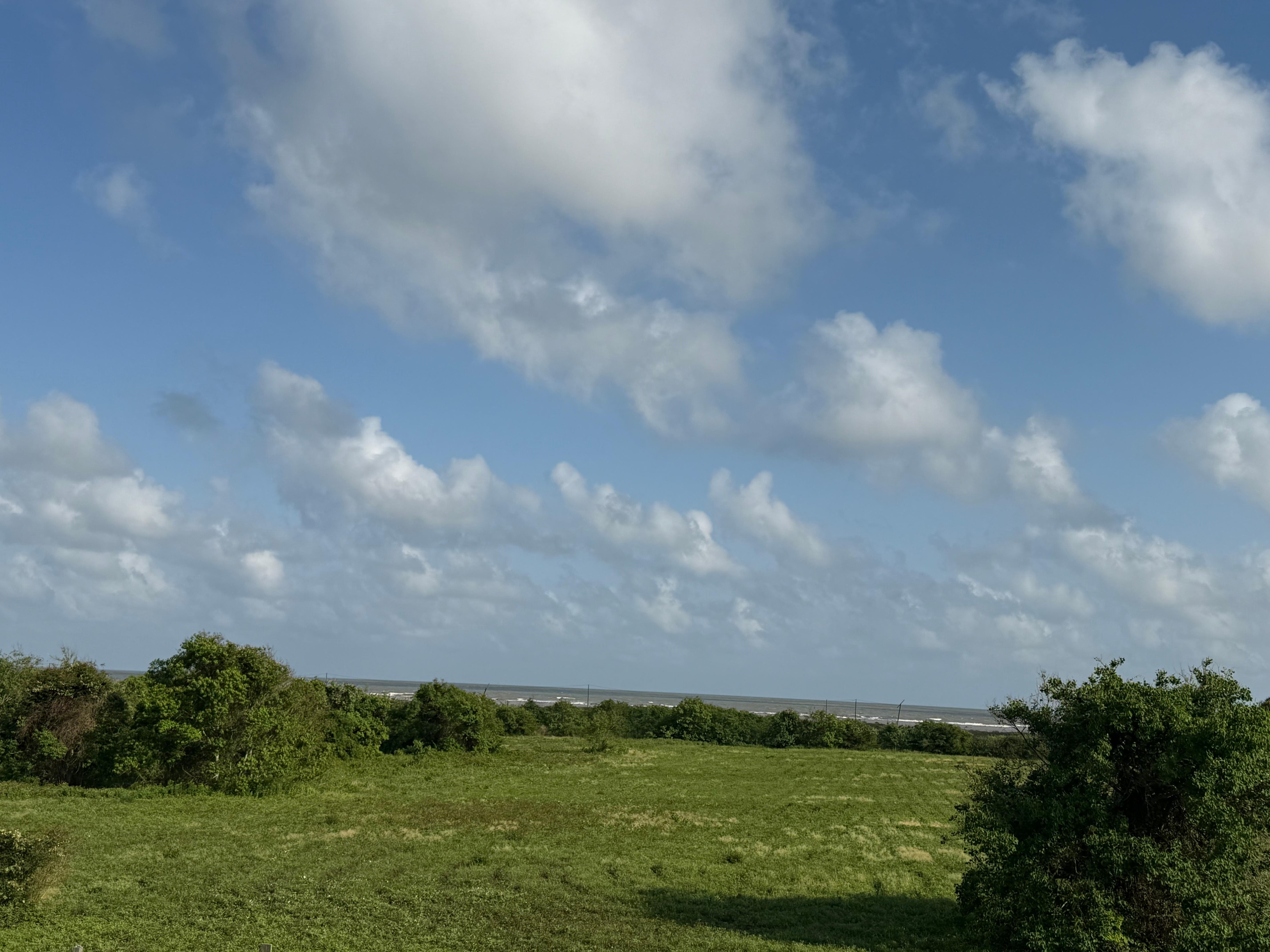  View from the front of the House.