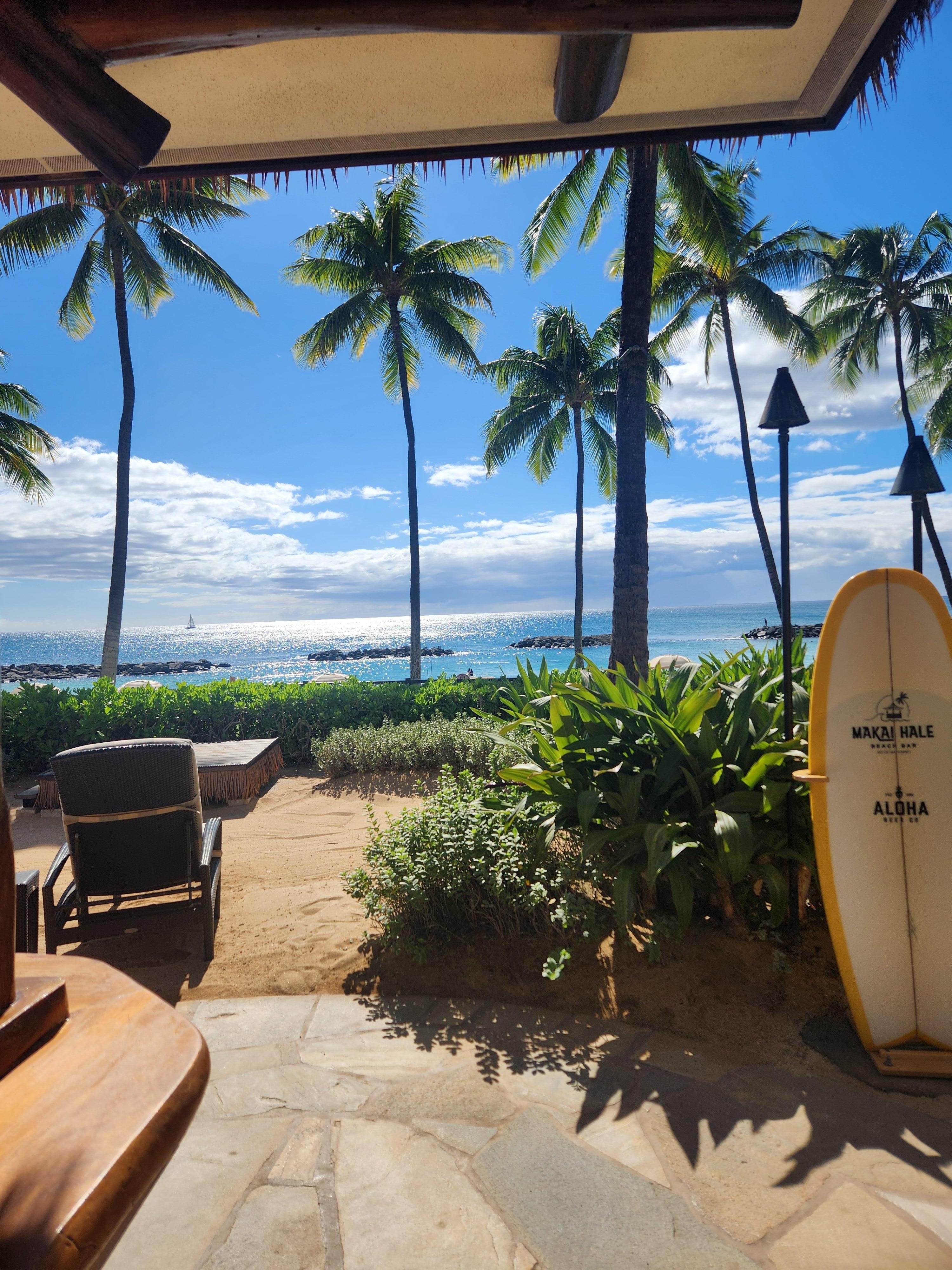 View from the pool bar