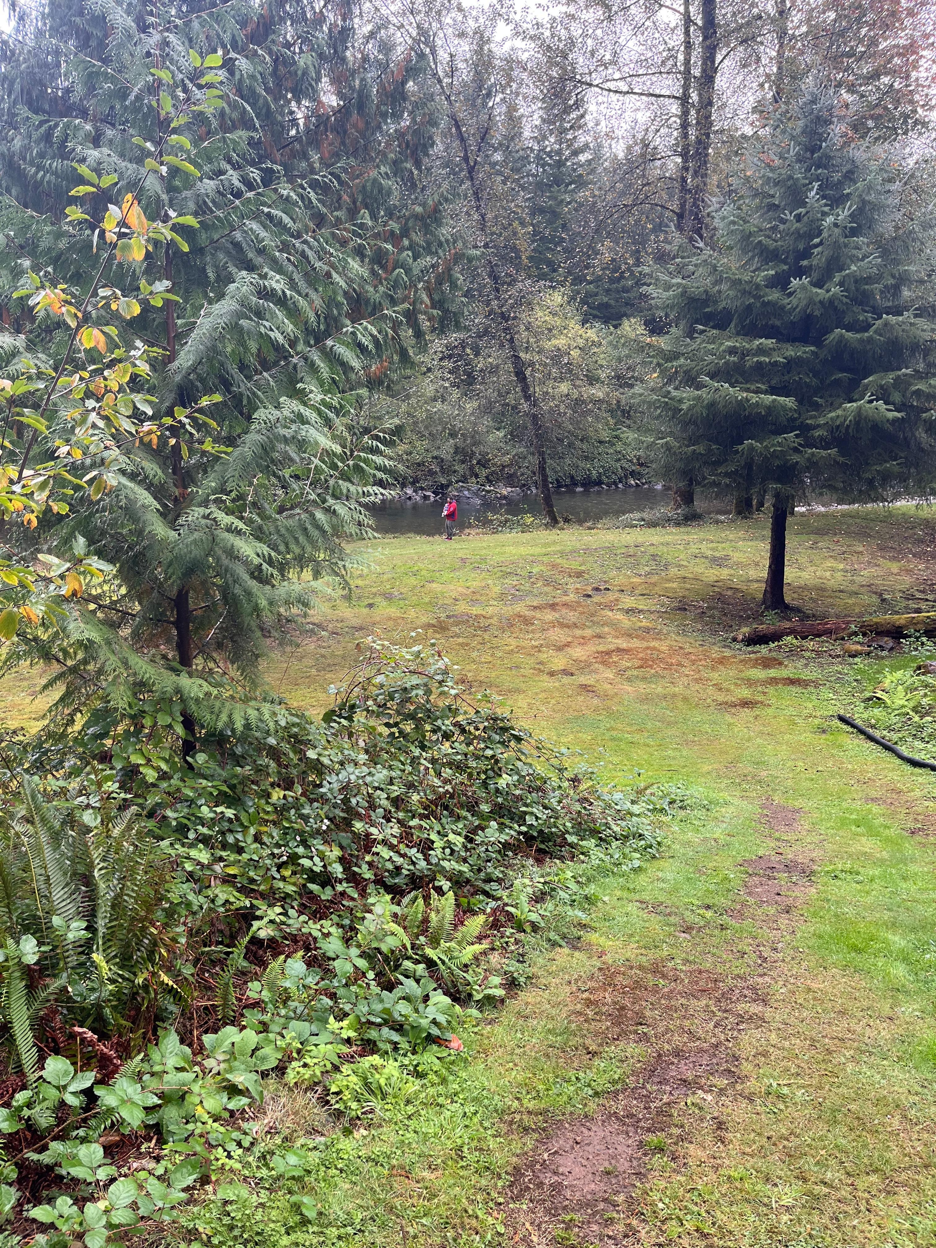 Trail down to a small creek