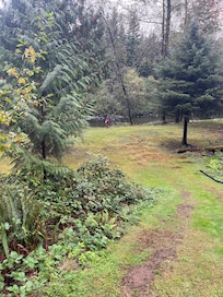 Trail down to a small creek