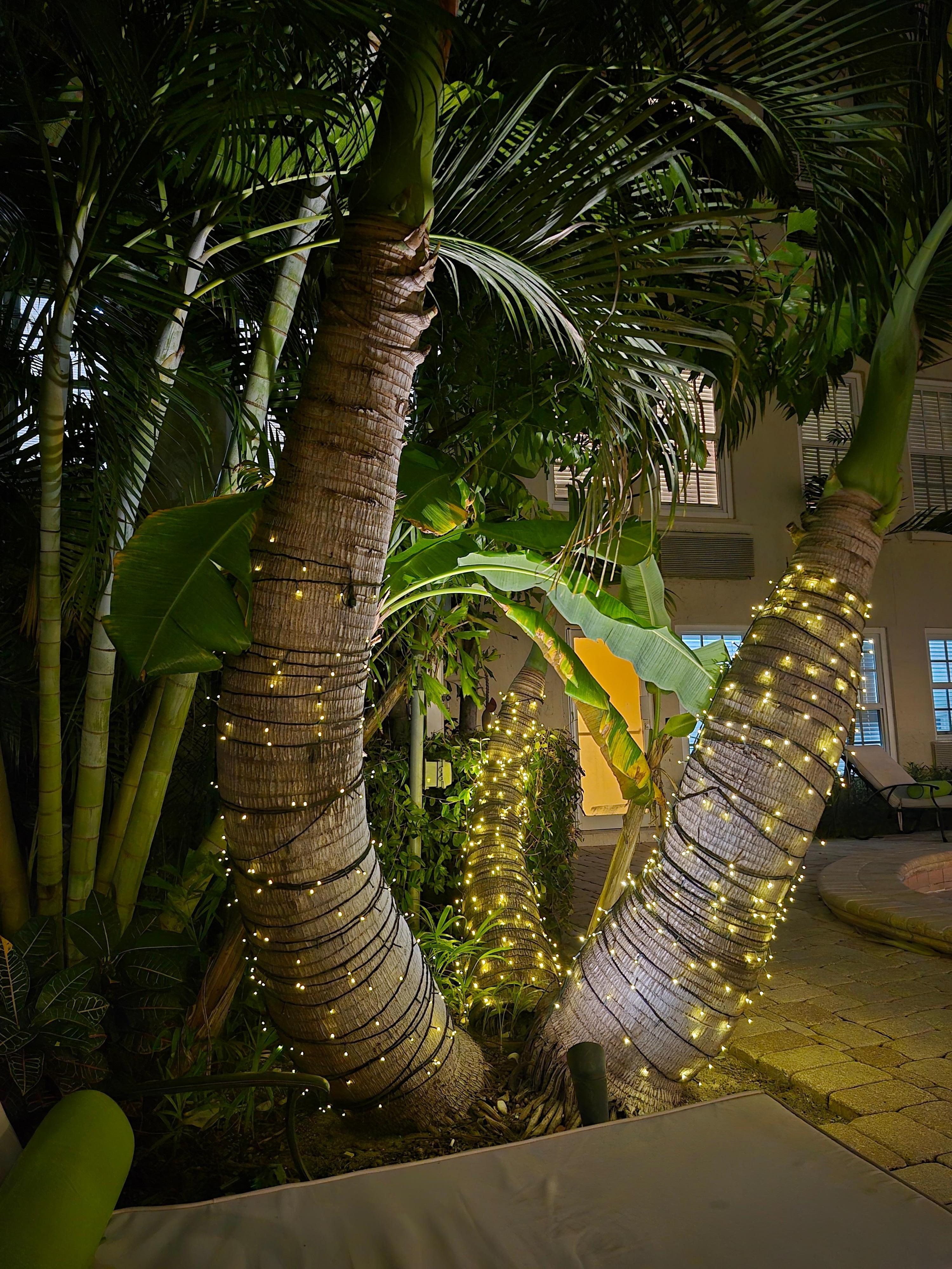 The pool area was beautiful 