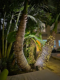 The pool area was beautiful