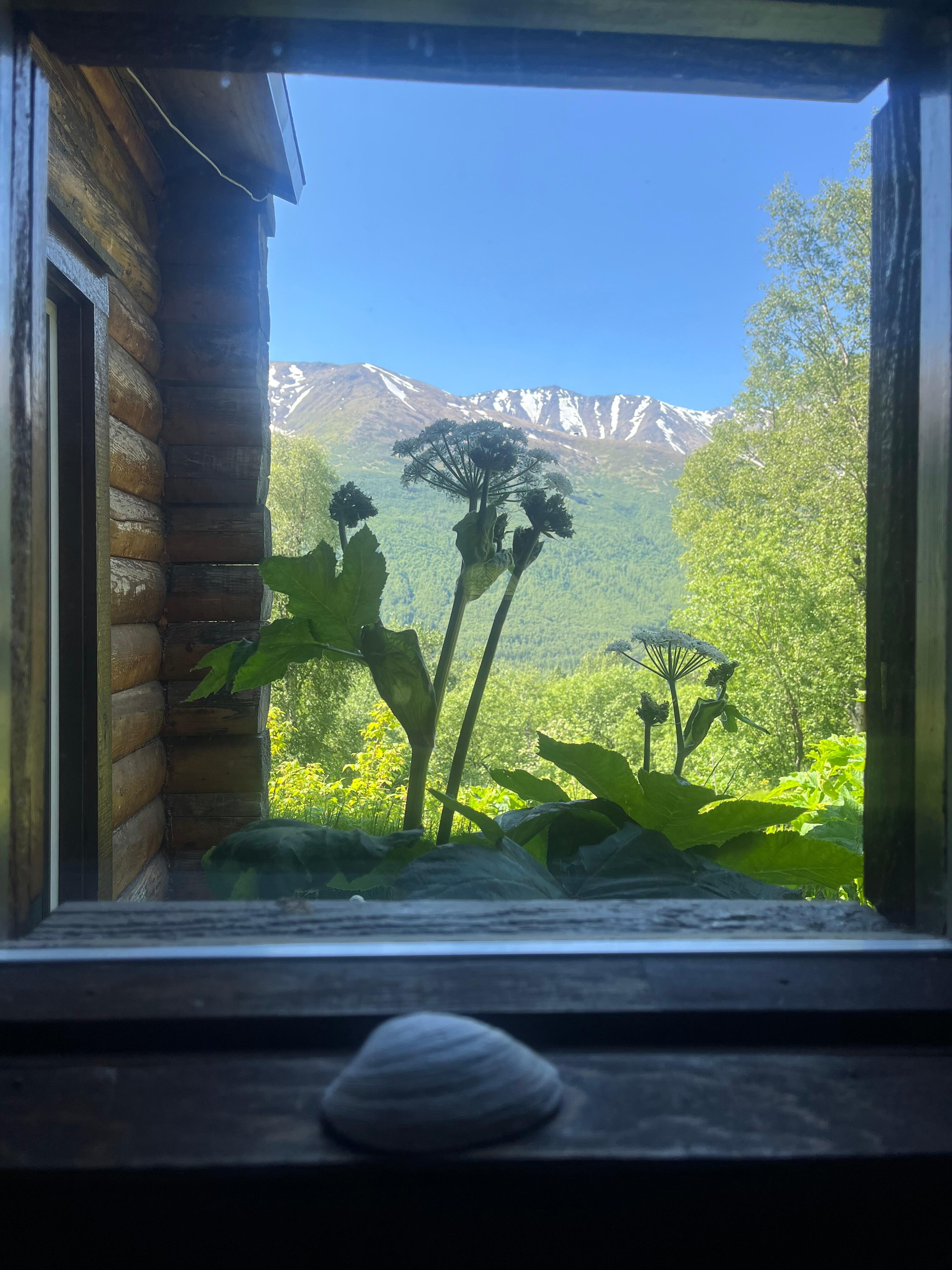 Laundry area view 
