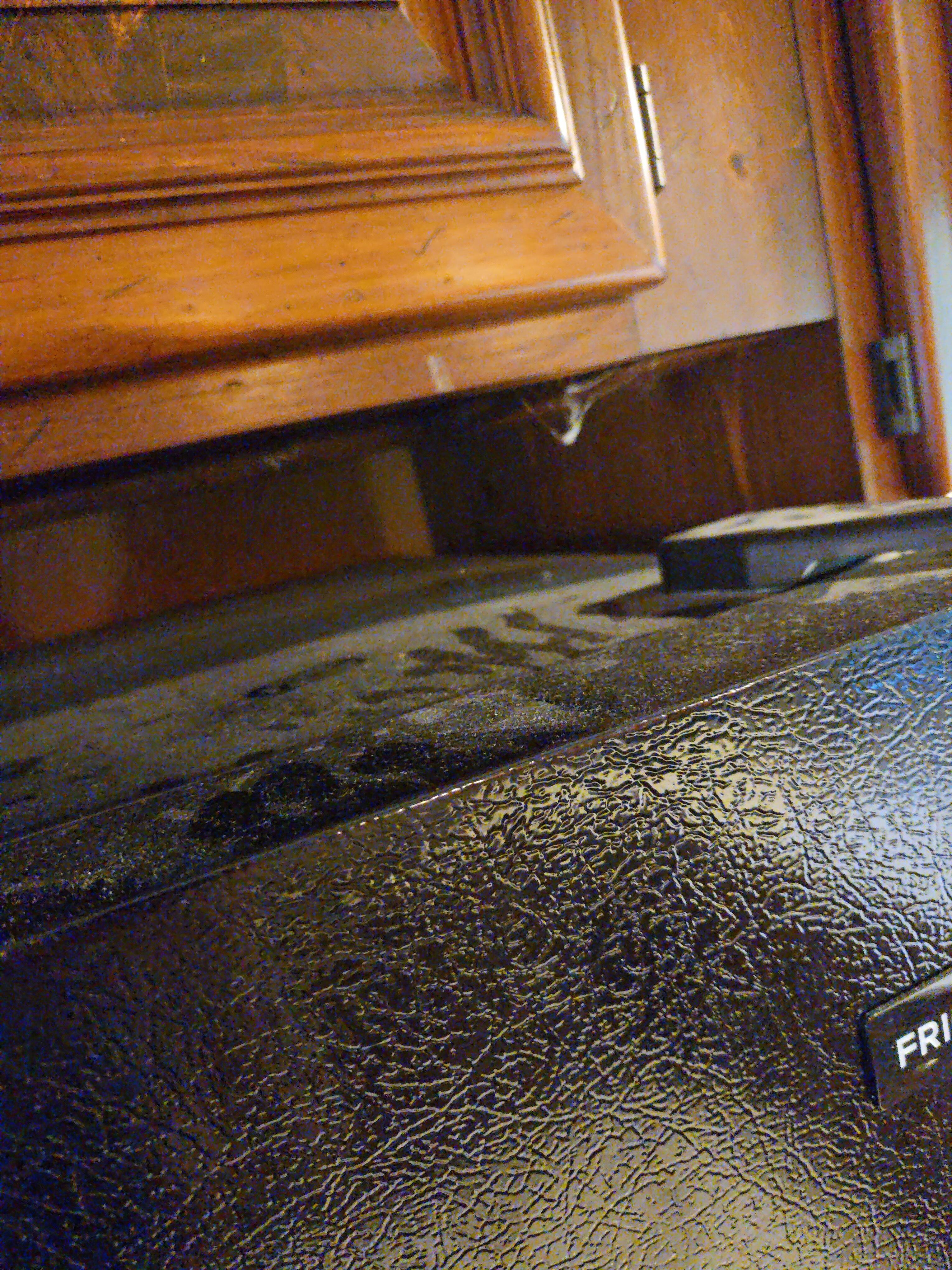 Surface dust and cobwebs throughout the house