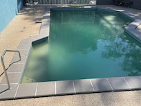 Murky water with Slime on top of water.