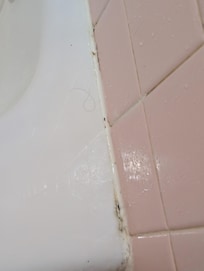 Again more mold